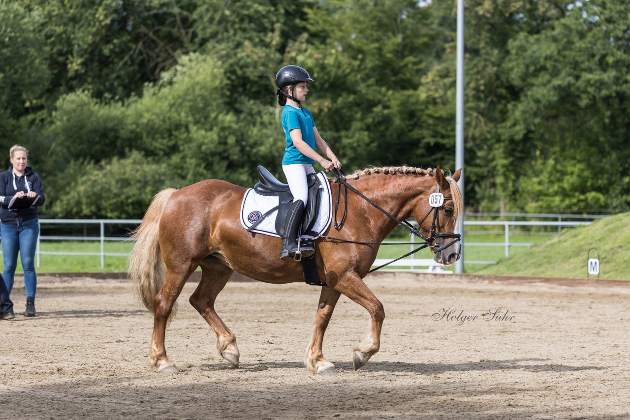 Bild 41 - Pony Akademie Turnier